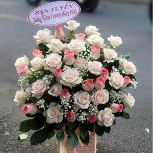 Hồng Phát Khai Trương