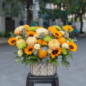 Ánh Dương Phát Lộc